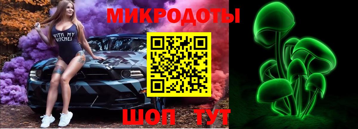 Элиста  Псилоцибиновые грибы GOLDEN TEACHER  Псилоцибиновые грибы мицелий  Вход с VPN 